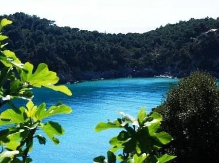 Swiss International Elba - Il Magnifico Hotel Marciana Marina (Isola d'Elba)